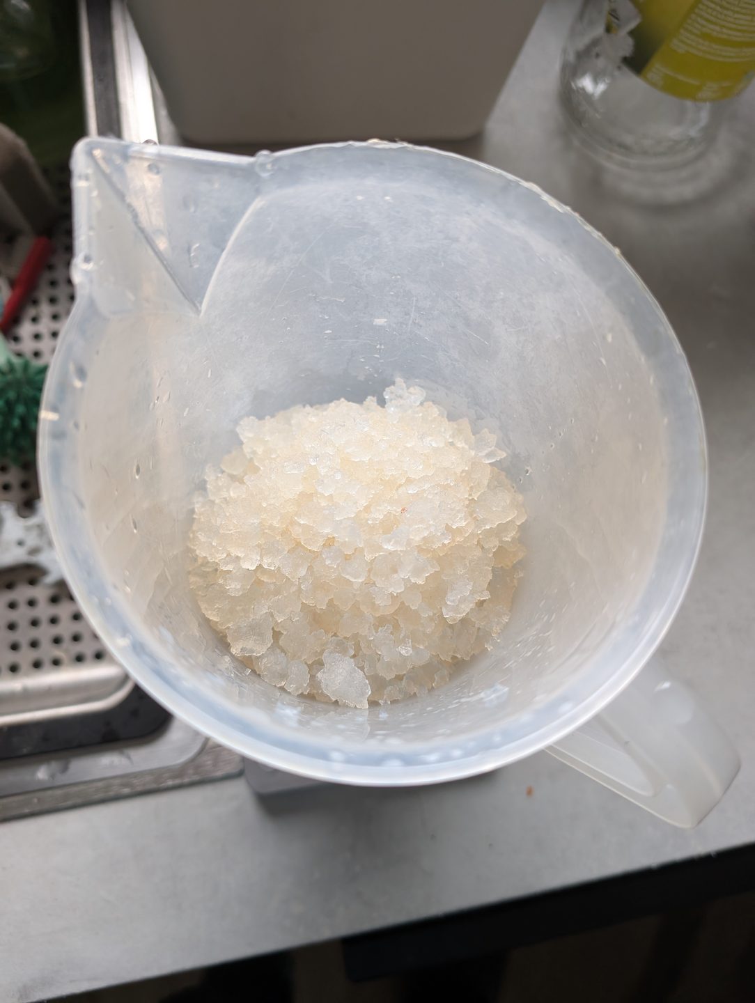 Grains de kéfir d'eau